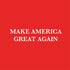 Make American Great Again Nintendo 2DS XL (2017) Skin