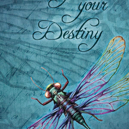 Brigid Ashwood Manifest Your Destiny iPhone XS Max Skin