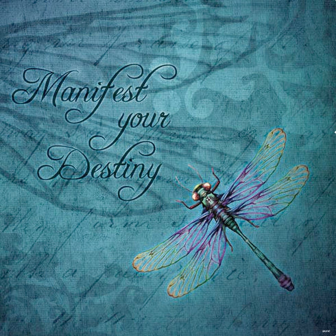 Brigid Ashwood Manifest Your Destiny PS4 Console and Controller Bundle Skin