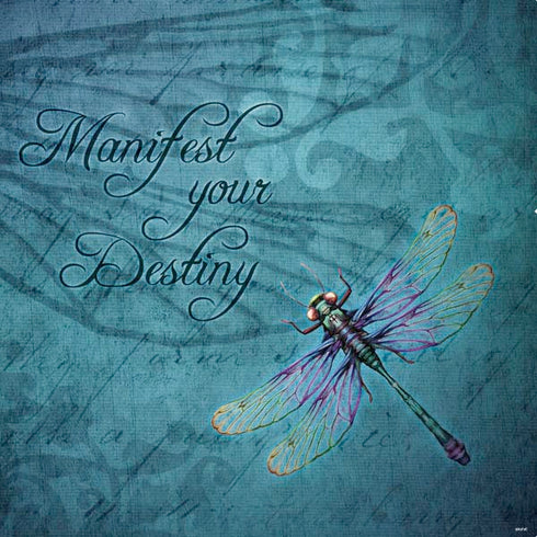 Brigid Ashwood Manifest Your Destiny PS4 Console Skin