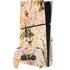 Marble End by William Kilburn PS5 Slim Disk Bundle Skin