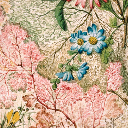 William Kilburn Marbled Paper iPhone XS Max Skin