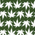 Marijuana Leaf White Pattern Nintendo 2DS XL (2017) Skin