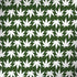 Marijuana Leaf White Pattern Surface Book 2 15in Skin