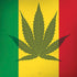 Marijuana Rasta Flag iPhone X Pro Case