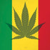 Marijuana Rasta Flag iPhone XS Pro Case