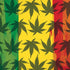 Marijuana Rasta Pattern iPhone XR Pro Case