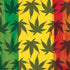 Marijuana Rasta Pattern iPhone XR Skin