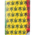 Marijuana Rasta Pattern PS5 Digital Edition Console Skin