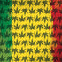 Marijuana Rasta Pattern Surface Book 2 15in Skin