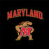 University of Maryland Collegiate Text Nintendo 2DS XL (2017) Skin
