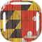 Maryland Flag Dark Wood Galaxy Buds Live Skin