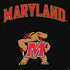 University of Maryland Collegiate Text PS4 Slim Skin