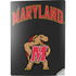 University of Maryland Collegiate Text PS5 Digital Edition Console Skin