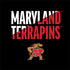 University of Maryland Terrapins Athletic Marks Nintendo 2DS XL (2017) Skin