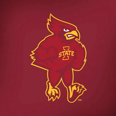 Iowa State University Mascot Amazon Echo Skin