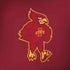 Iowa State University Mascot Amazon Echo Skin