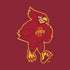 Iowa State University Mascot Moto E5 Play Skin