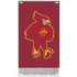 Iowa State University Mascot Xbox Series S Console Skin