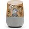 Disney Moana Maui Portrait Google Home Skin