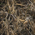 RealTree Max7 Camo Dell Alienware Skin