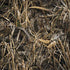 RealTree Max7 Camo Legion Y720 Skin