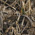 RealTree Max7 Camo Otterbox Commuter Galaxy Skin