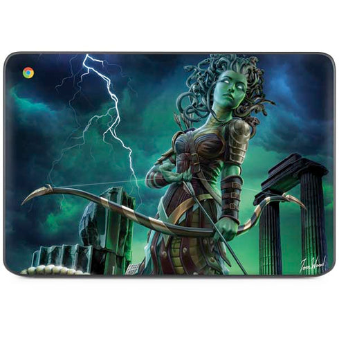 Medusa by Tom Wood HP Chromebook Skin