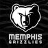 NBA Memphis Grizzlies Black Animal Print Surface Book 2 15in Skin