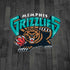 NBA Memphis Grizzlies Hardwood Classics iPhone X Pro Case