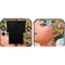 Mermaid with Sea Stars in Her Hair by Ivy Dolamore Nintendo 2DS Skin