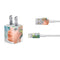 Mermaid with Sea Stars in Her Hair by Ivy Dolamore iPhone Charger (5W USB) Skin