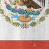 Mexico Flag Distressed Nintendo 2DS XL (2017) Skin
