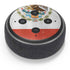 Mexico Flag Distressed Amazon Echo Dot Skin