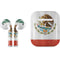 Mexico Flag Distressed Apple AirPods 2 Skin