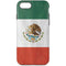 Mexico Flag Distressed iPhone 7 Pro Case