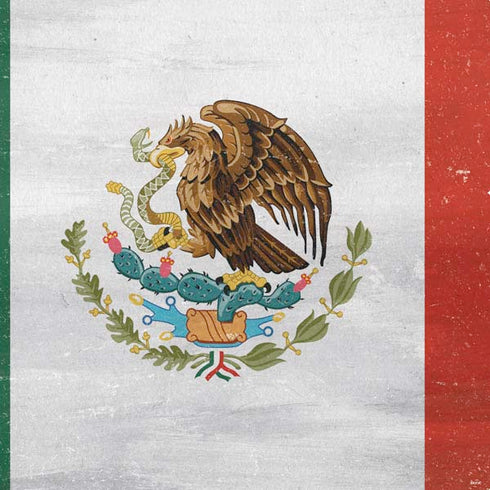 Mexico Flag Distressed PS4 Pro Bundle Skin