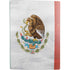 Mexico Flag Distressed PS5 Digital Edition Bundle Skin