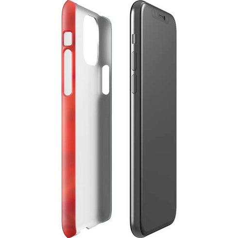 Mexico Flag iPhone 11 Pro Lite Case