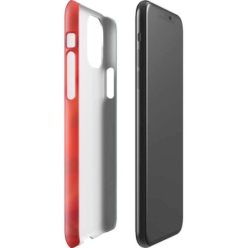 Mexico Flag iPhone 11 Pro Max Lite Case