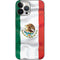 Mexico Flag iPhone 13 Pro Max Skin