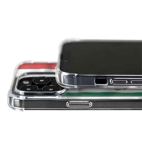Mexico Flag iPhone 14 Pro MagSafe Case