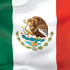 Mexico Flag iPhone XS Skin