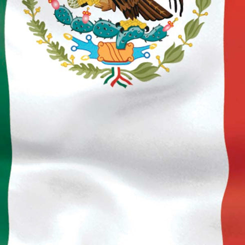 Mexico Flag Moto E5 Play Skin