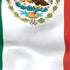 Mexico Flag Moto E5 Play Skin