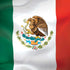 Mexico Flag Moto G6 Skin