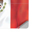 Mexico Flag Surface Laptop Studio Skin