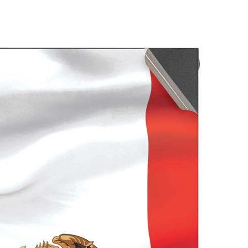 Mexico Flag Xbox Series X Console Skin