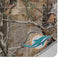 NFL Miami Dolphins Realtree AP Camo Surface Laptop Studio Skin