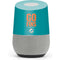 NFL Miami Dolphins Team Motto Google Home Skin